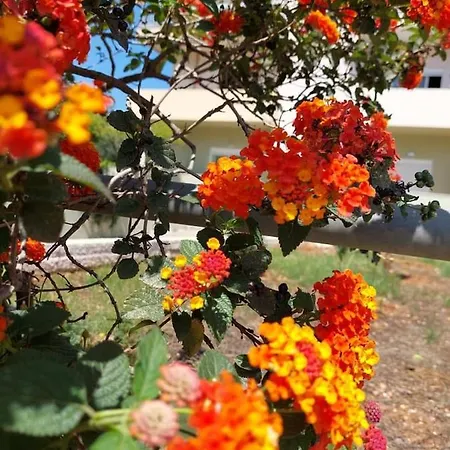 Διαμέρισμα Dimageo Life Χανιά