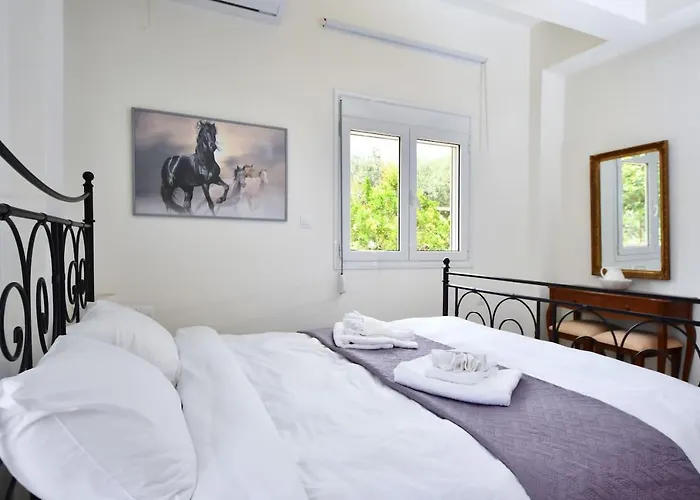 Dimageo Life * Χανιά