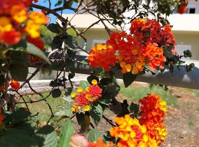 Διαμέρισμα Dimageo Life Χανιά